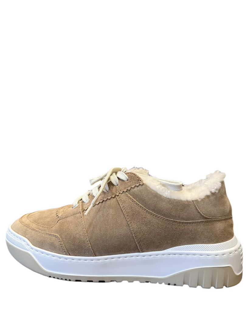 Klare Shearling Lined Suede Sneaker | Biscotti – Well Heeled