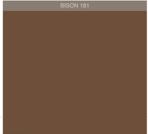 Wool Chunky Turtleneck | Bison