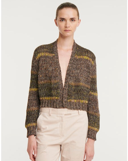 Adelchi Cropped Cardigan | Multi
