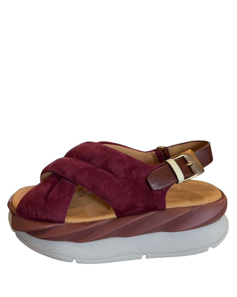 rose1_1024x1024.jpg?v=1749844946