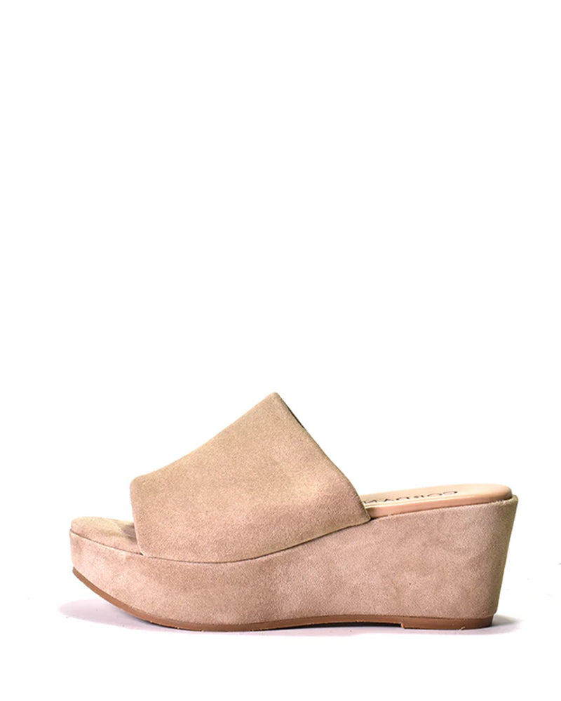 Riley Wedge | Crosta Corda