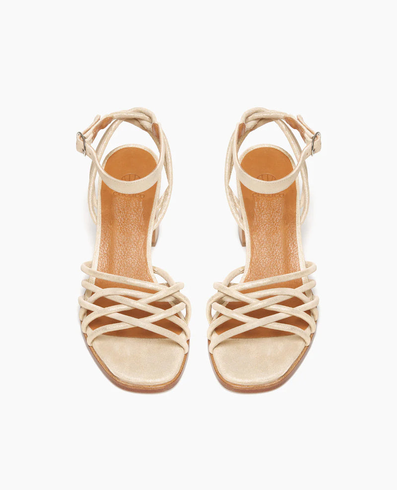 Babs Strappy Heel | Champagne