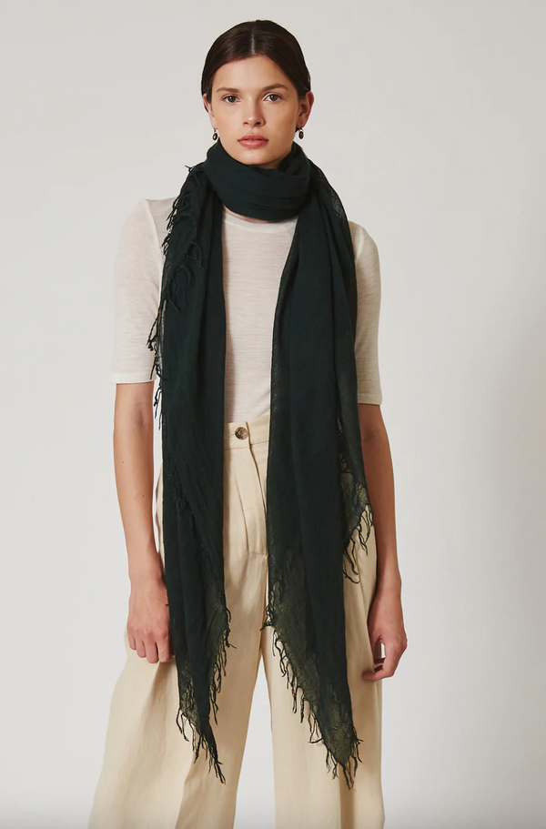 Cashmere & Silk Scarf | Scarab