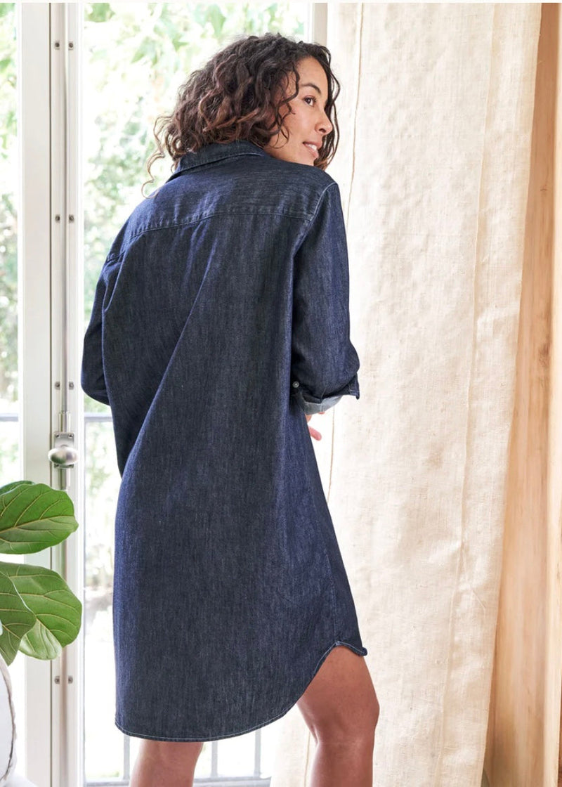 Mary Famous Denim Dress | Raw Rinse